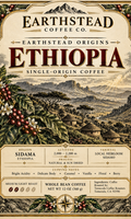 Ethiopian Origins